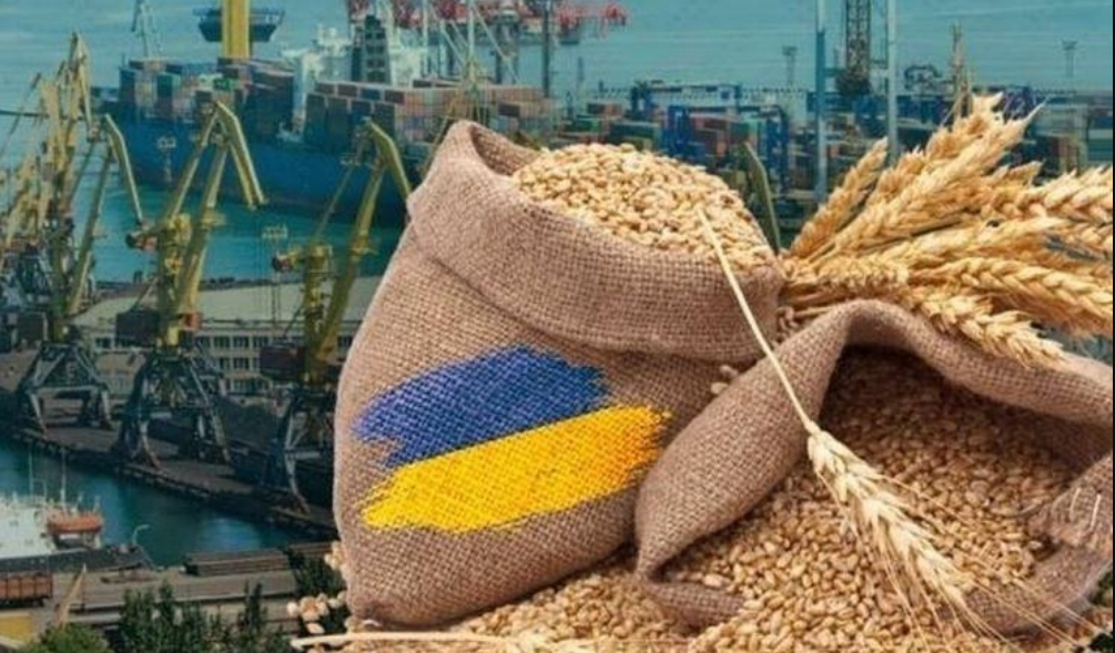 Украина поставляет агропродукцию почти во все страны мира: кто у нас ничего не покупает